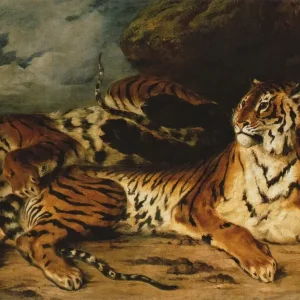 A Young Tiger Playing with Its Mother
