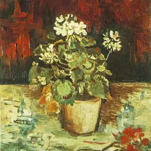 Geranium in a Flowerpot