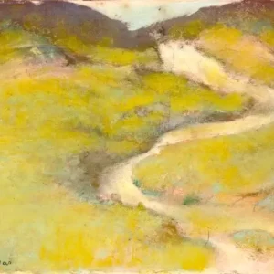 Pathway in a Field