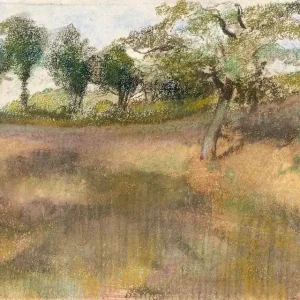 Plowed Field Bordered by Trees