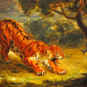 Tiger and Snake